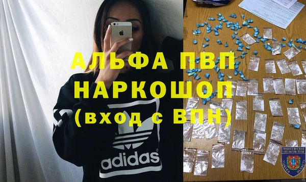 шишки Арсеньев