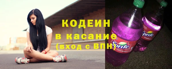 шишки Арсеньев