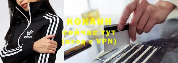 стафф Аркадак