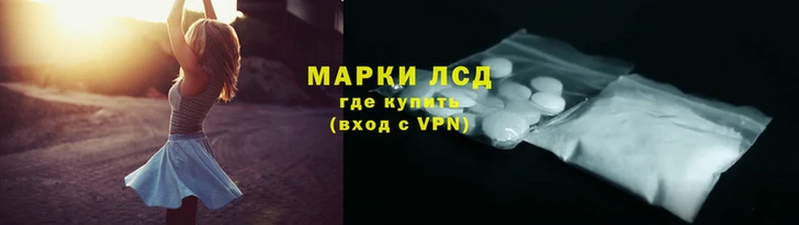 шишки Арсеньев