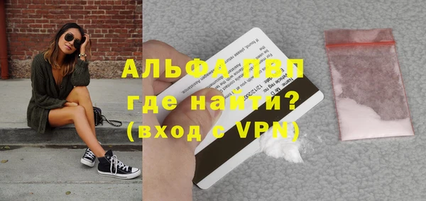 шишки Арсеньев