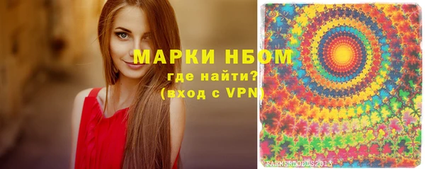 шишки Арсеньев