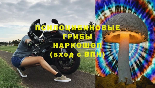ПСИЛОЦИБИНОВЫЕ ГРИБЫ Снежногорск