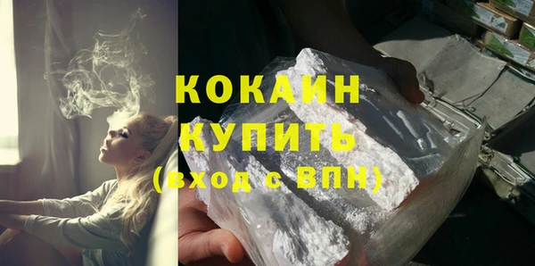 шишки Арсеньев