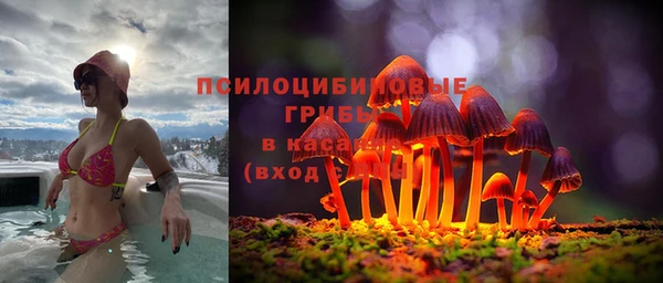 винт Снежинск